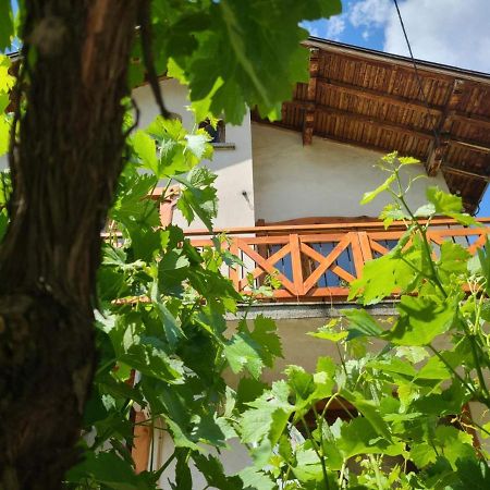 Вила 111 Sapareva Banya Esterno foto