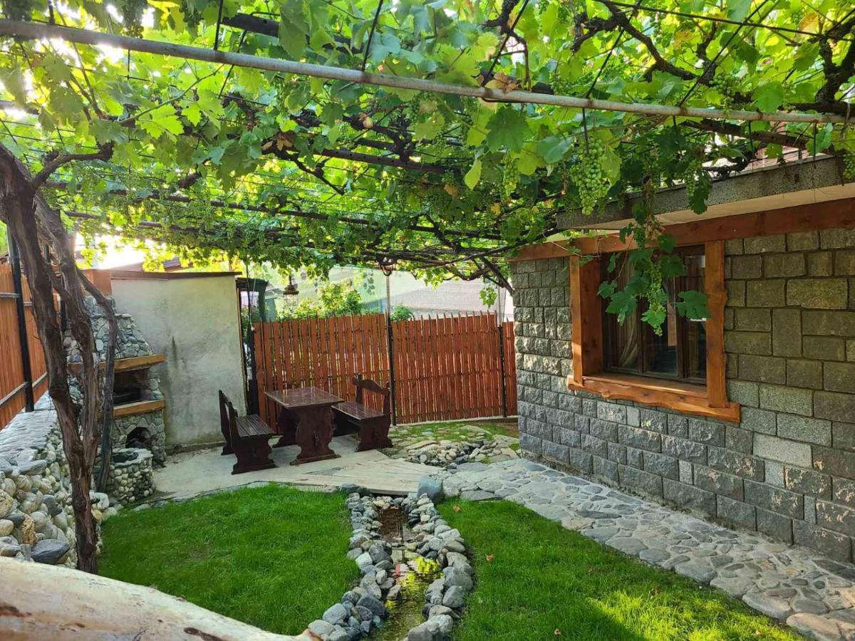 Вила 111 Sapareva Banya Esterno foto