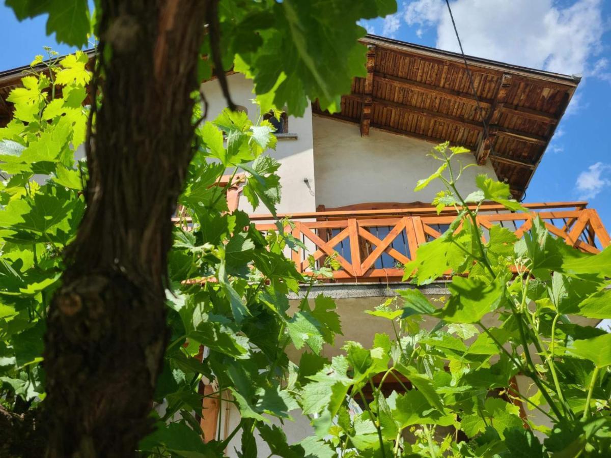 Вила 111 Sapareva Banya Esterno foto