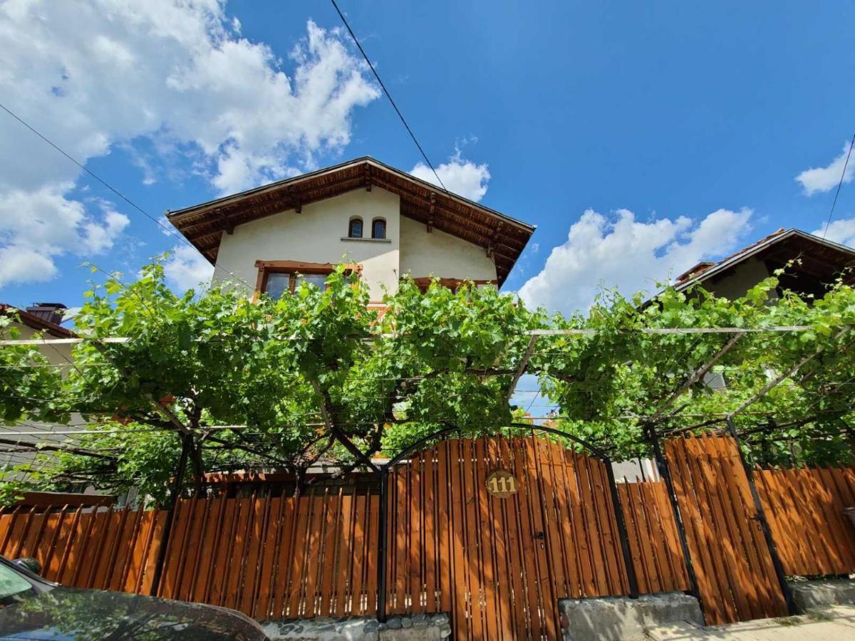 Вила 111 Sapareva Banya Esterno foto